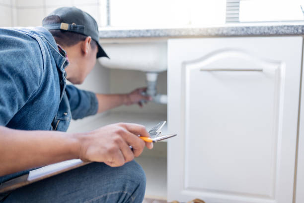 Best Affordable Plumbing Services  in Sturgeon, MO